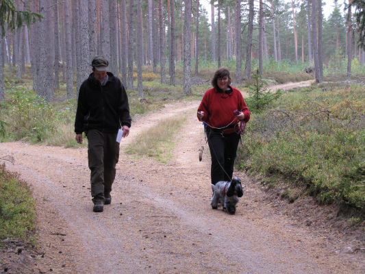 Pyssla gk i anlagsklass viltspår