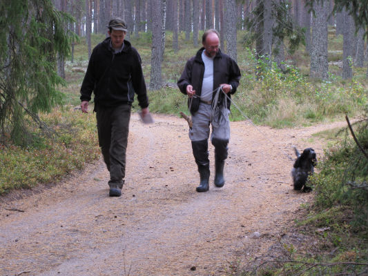 Tuva gk anlagsprov viltspår