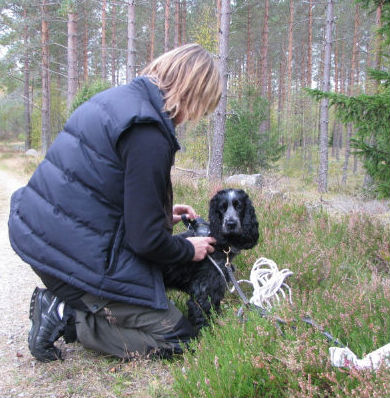 Bella har fått på sig selen