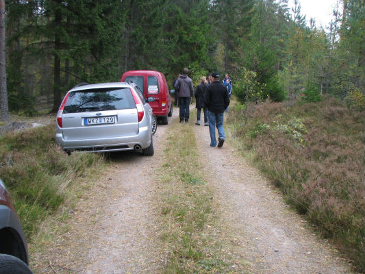 Mot spårskogen