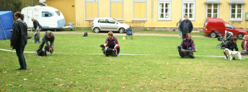 Tikklassen, Nellie, Nikki, Selma och Meya