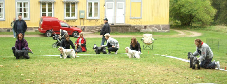 Tikklassen, Selma, Meya, Lycka och Ebba