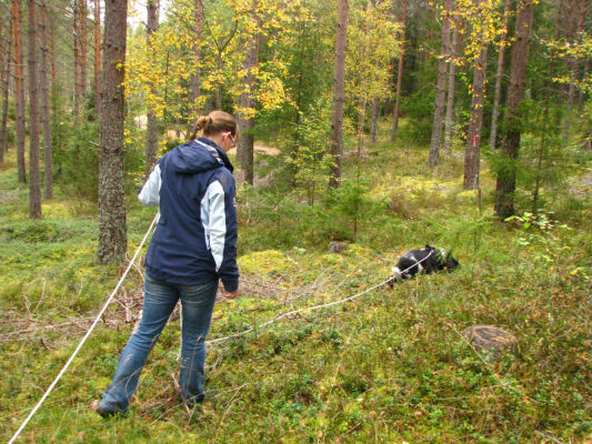 Wilma och Helen