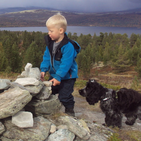 Benjamin och Alvin på fjället