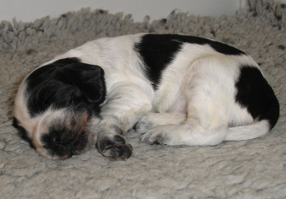 Zzzzzzzzz, jag sover och växer...