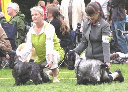 Sofiero Lisen 2:a i ökl med Ck, Grattis Åsa med Tina! Foto: Ingrid Lohmander A.son