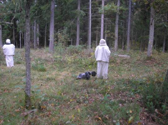 Sjösvängens Håll Truten "Lisen"
