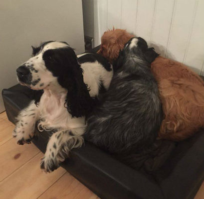 Mia & Ronja & Molly