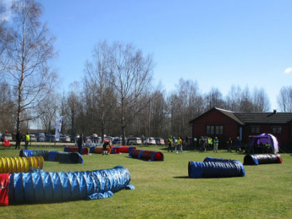 Debut för Saga i agility