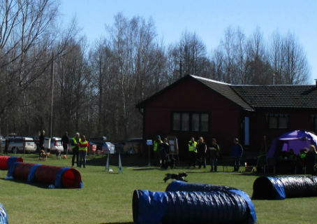 Sagas debut i tunnelagility 20150418