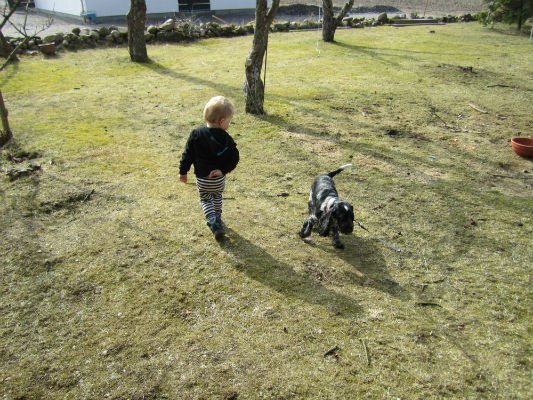 Sommarhälning från Kickie & Elsa