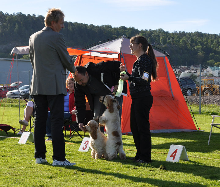 Sjösvängens Ruffel Och Båg BIR/BIS 4:a Sjösvängens Vild Och Vacker BIM Foto: Madeleine Andersson