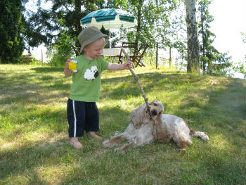 Edmund & Harry på Öland