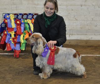 Sofia & Harry klassvinst med Hp 20101017