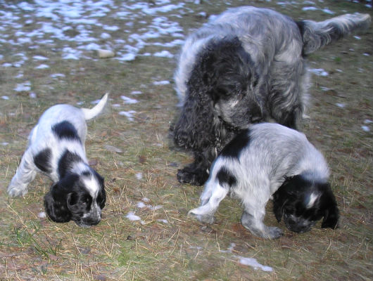 Vinka, mamma Lovis och Viska