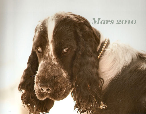 Mars 2010