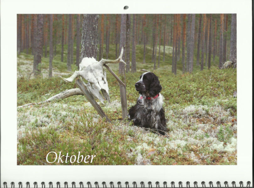 Oktober 2013