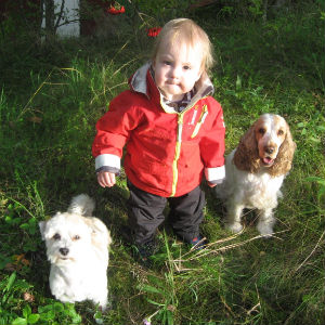 Ozzy, lillhusse Wille & Meya på promenad