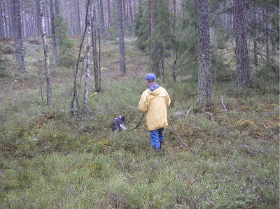 Duktig kille som spårar fint.