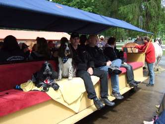 Här åker Ozzy, Andy och husse remmalag