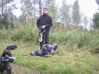 Daniel med Zicco & Zorro väntar på sin tur i spåren