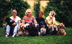 3:e kullen