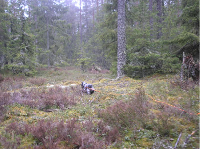 Sessan har fattat helt rätt och spårar bra