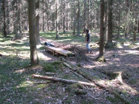 Häftig skrammelmusik i skogen