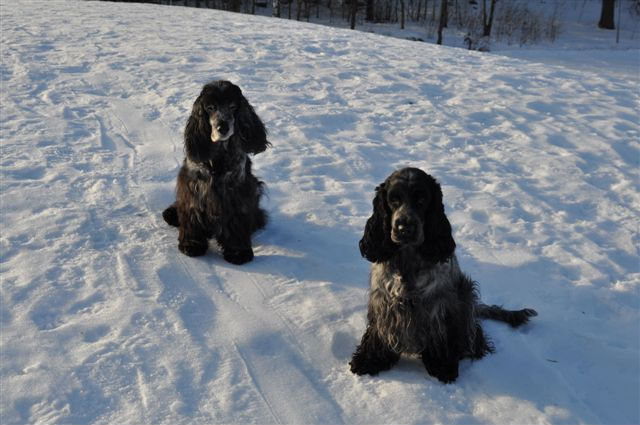 Ebba & Tuva på kullen