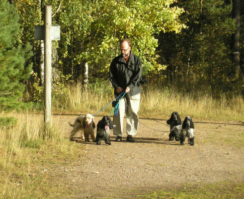 Höstpromenad i Mullsjö med husse och kompisar