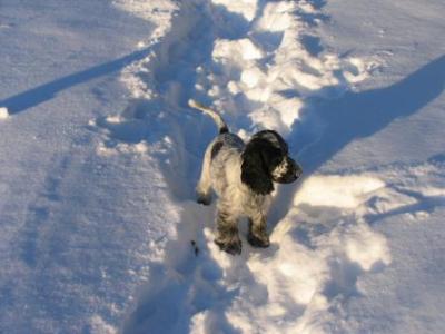 Det är -17 grader och Vidar vill inte gå in. Se och njut.